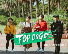 511爆料《TOP DOG》免费在线观看