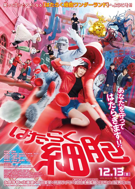 365吃瓜部落《工作细胞 真人版 はたらく細胞》免费在线观看