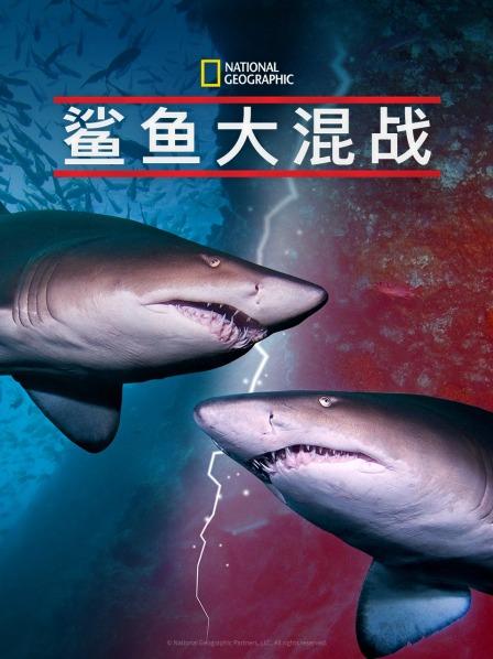 511爆料《鲨鱼大混战》免费在线观看