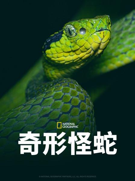 51乱伦《奇形怪蛇》免费在线观看